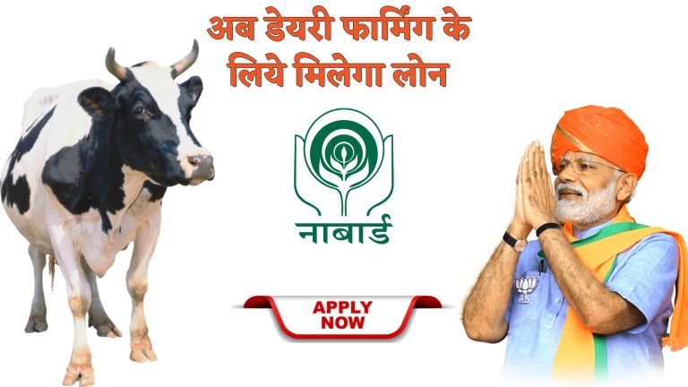 NABARD Dairy Loan 2023 –: नाबार्ड डेयरी फार्मिंग लोन योजना; ऑनलाइन आवेदन कैसे करें? जानिए सभी लाभ और निर्देश